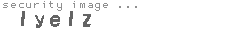 security image