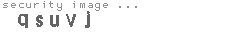 security image
