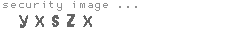 security image