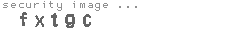 security image