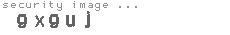 security image