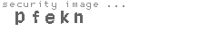 security image