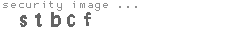security image