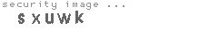 security image