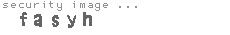 security image