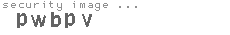 security image