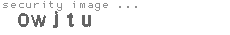security image