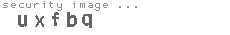 security image