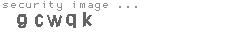 security image