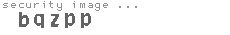 security image