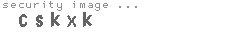 security image