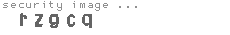 security image