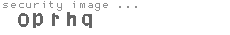 security image