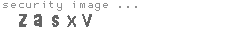 security image