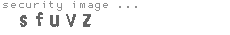 security image