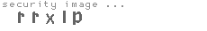 security image