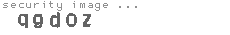 security image