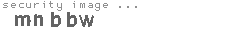 security image