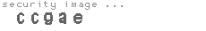 security image