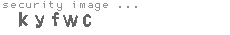 security image