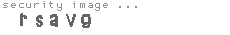 security image