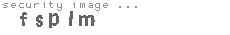 security image