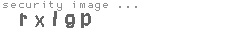 security image