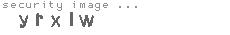 security image