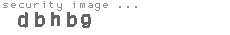 security image