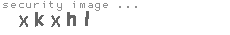 security image