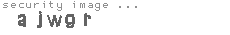 security image