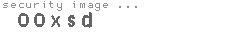 security image
