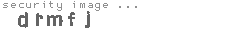 security image