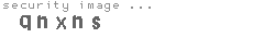 security image