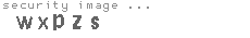 security image