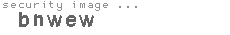 security image