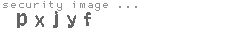 security image