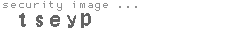 security image