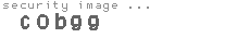 security image