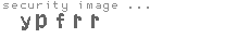 security image