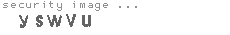 security image