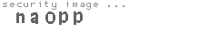 security image