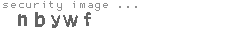 security image