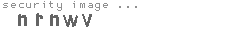 security image