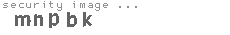 security image