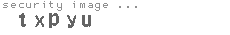 security image