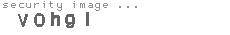security image