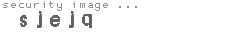 security image
