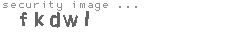 security image