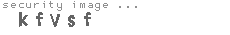 security image